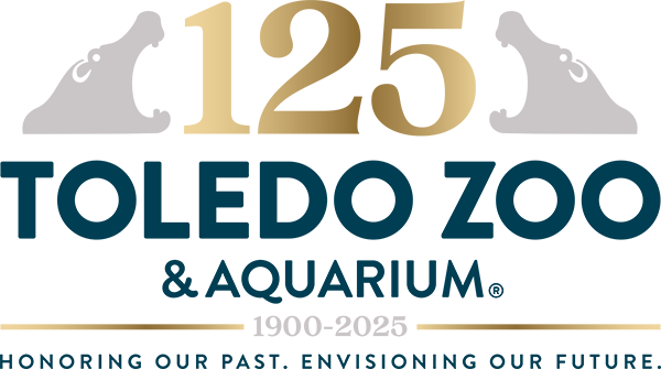 Toledo Zoo 125 Years Logo